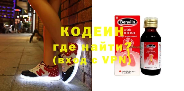 индика Аркадак