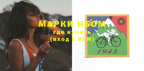 стафф Арсеньев