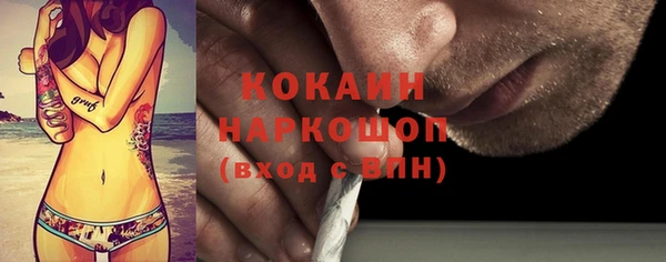 индика Аркадак