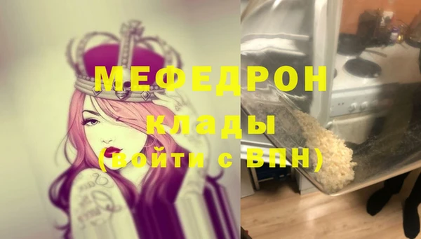 индика Аркадак