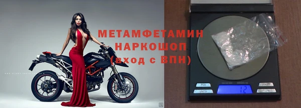 индика Аркадак