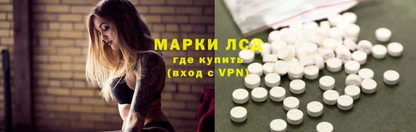 стафф Арсеньев