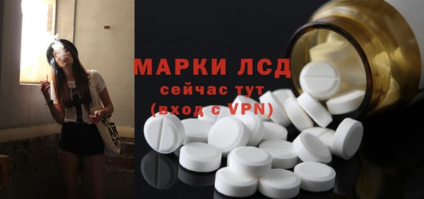 стафф Арсеньев
