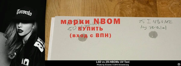 индика Аркадак