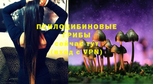 стафф Арсеньев