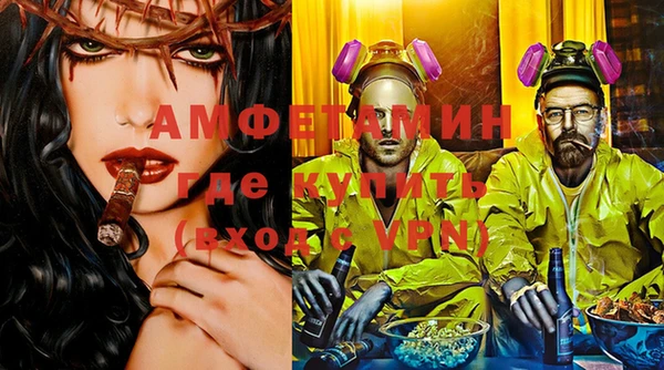 индика Аркадак