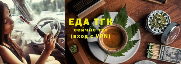 индика Аркадак