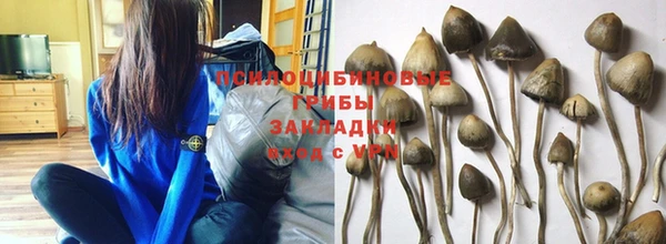 дживик Армянск