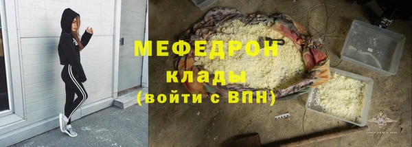 индика Аркадак